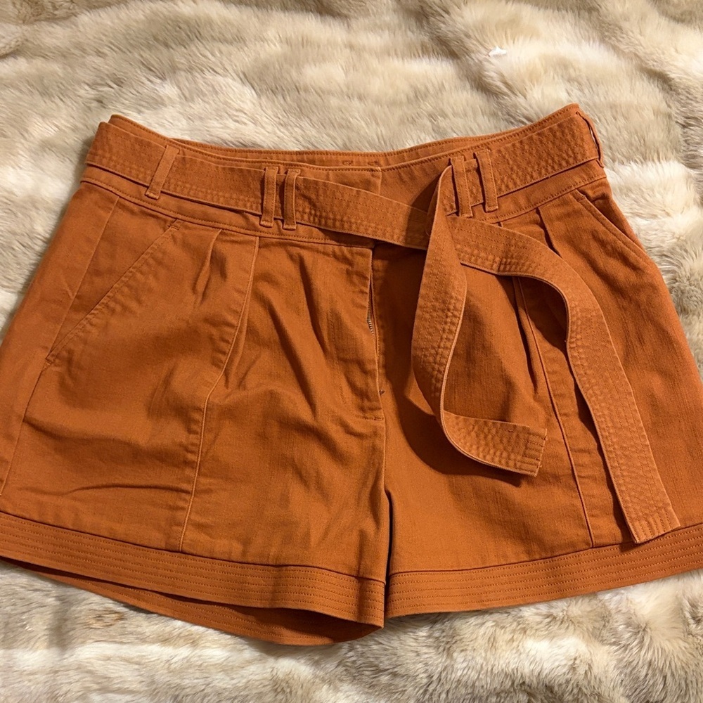 ryegrass High-Waist Rust Orange Belted Women's Shorts NWOT